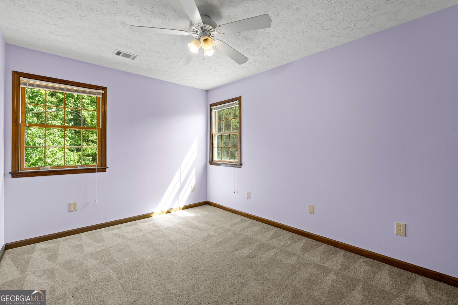 178 Major Road Sharpsburg - Photo 38