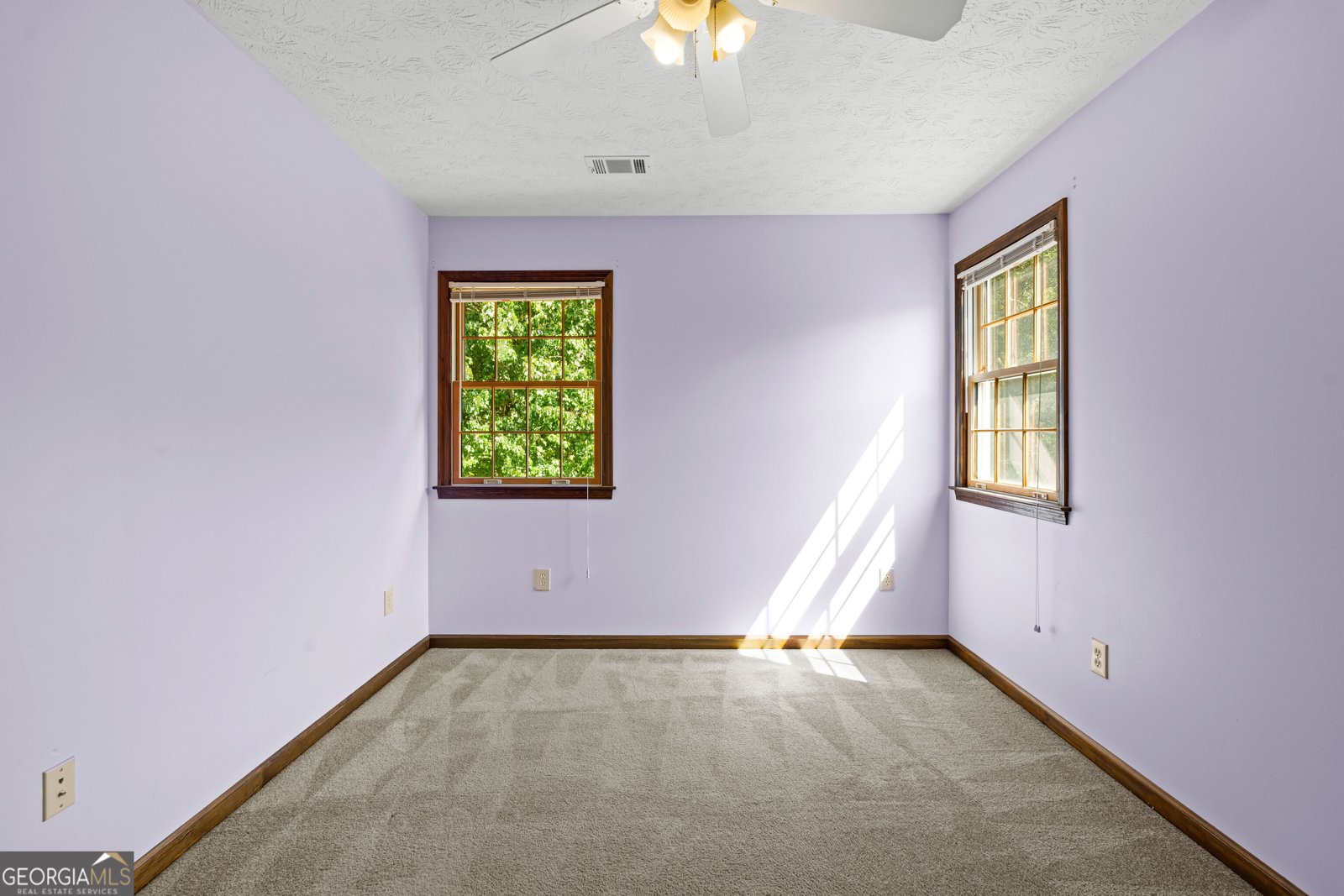 178 Major Road Sharpsburg - Photo 39