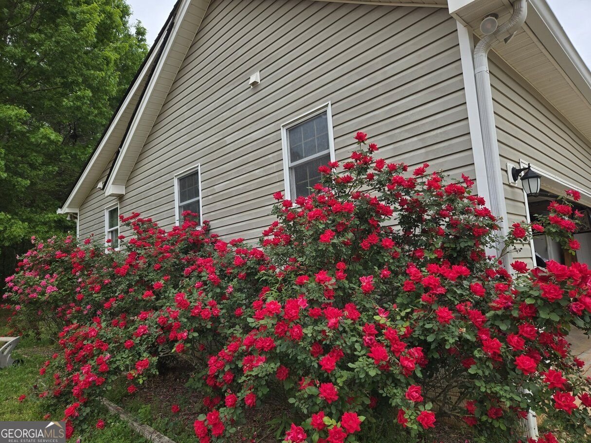 178 Major Road Sharpsburg - Photo 54