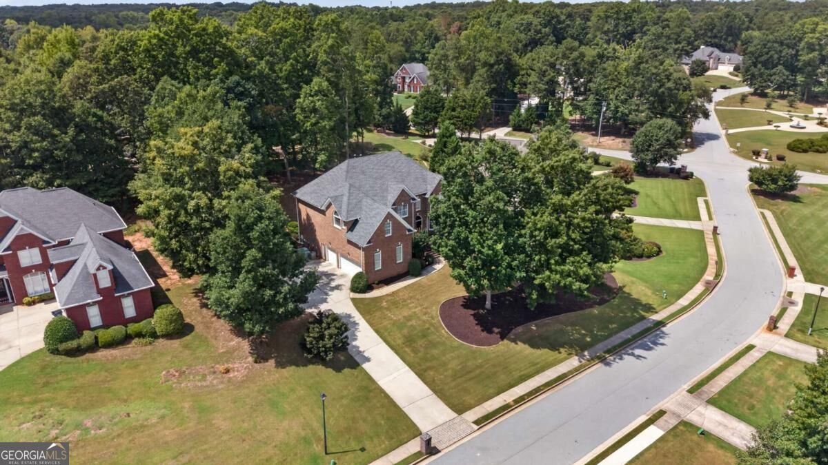 133 Saint Marks Drive Stockbridge - Photo 44