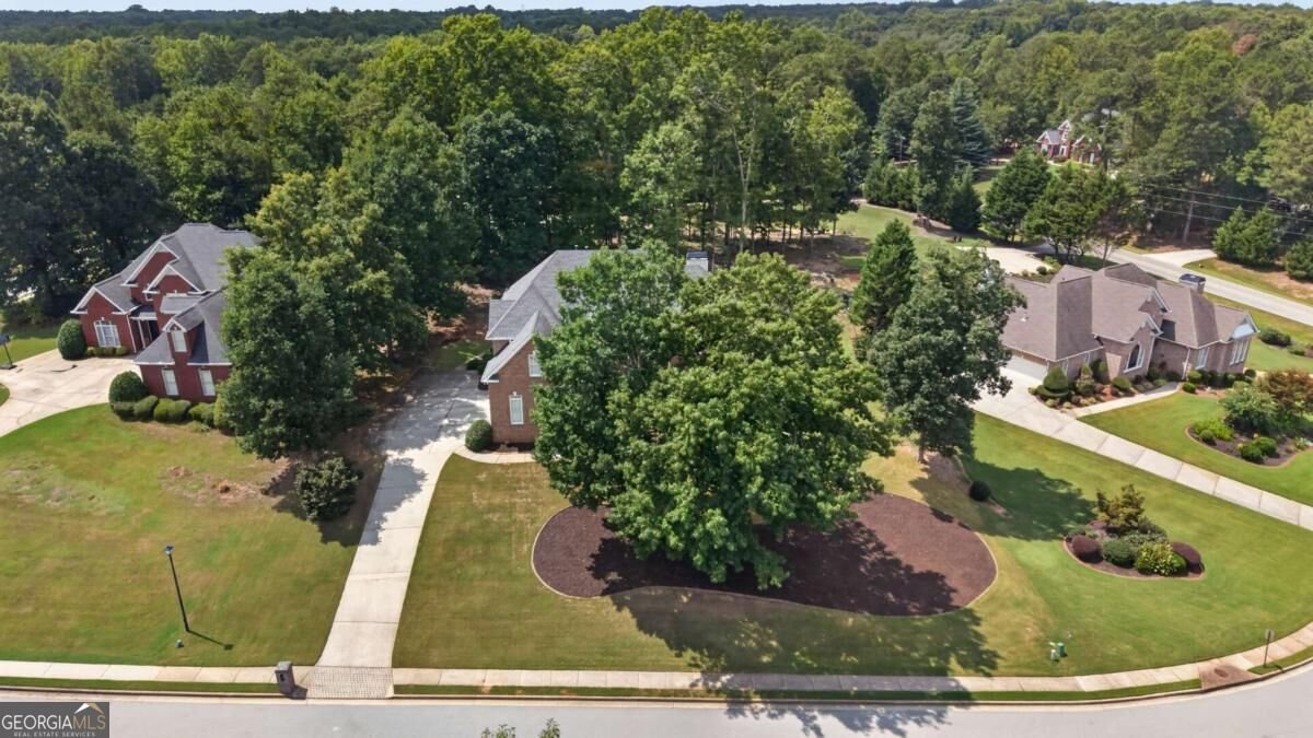 133 Saint Marks Drive Stockbridge - Photo 45