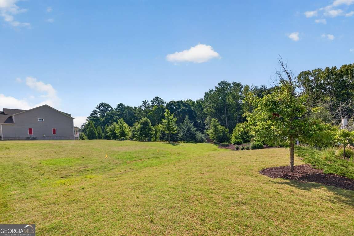 4120 Glasnill Road Suwanee - Photo 50