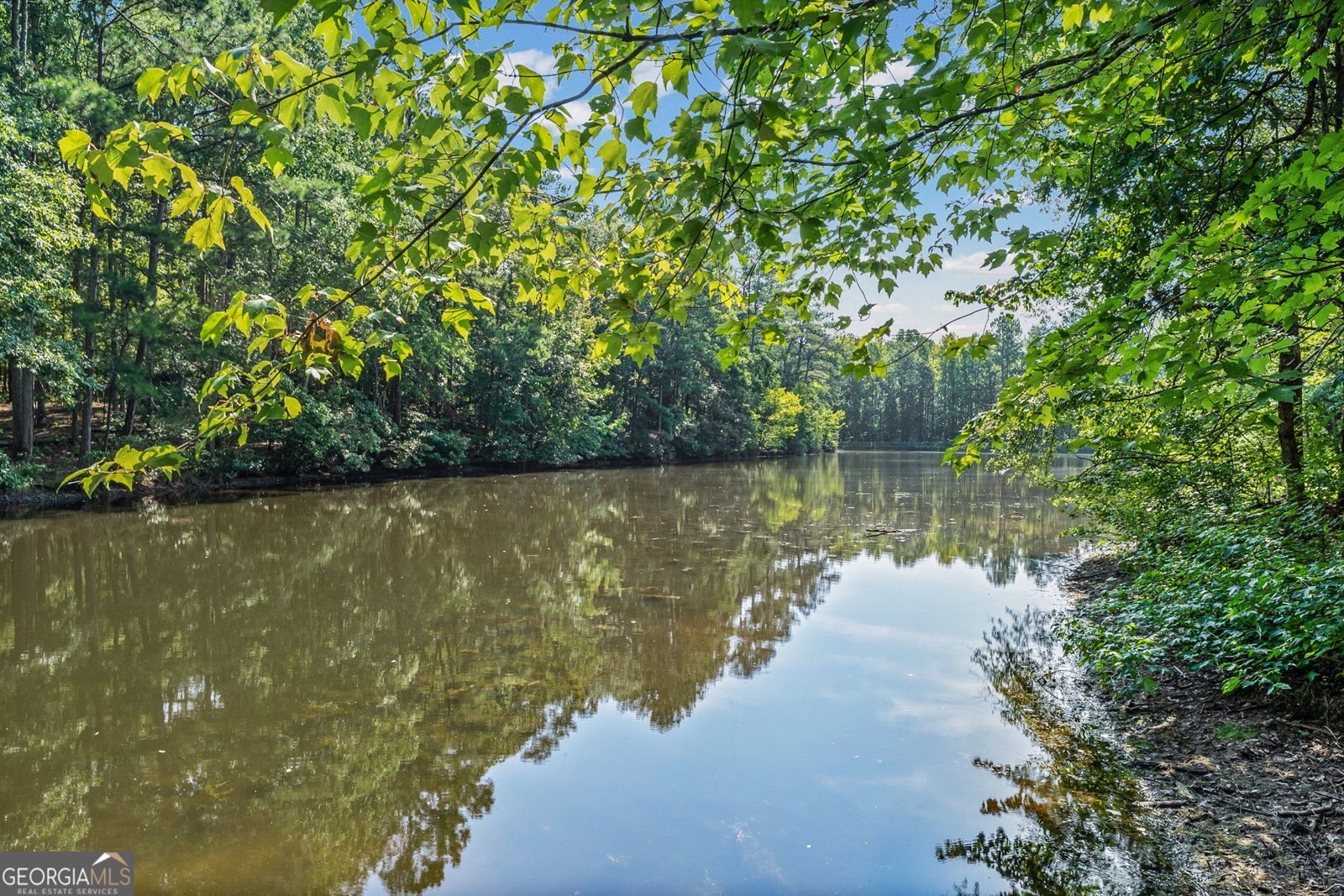 354 Gibson Road Newnan - Photo 42