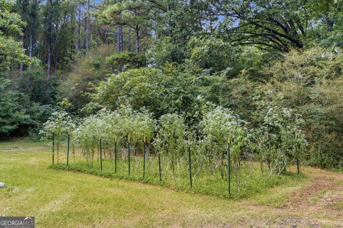 16 Hames Point Adairsville - Photo 47
