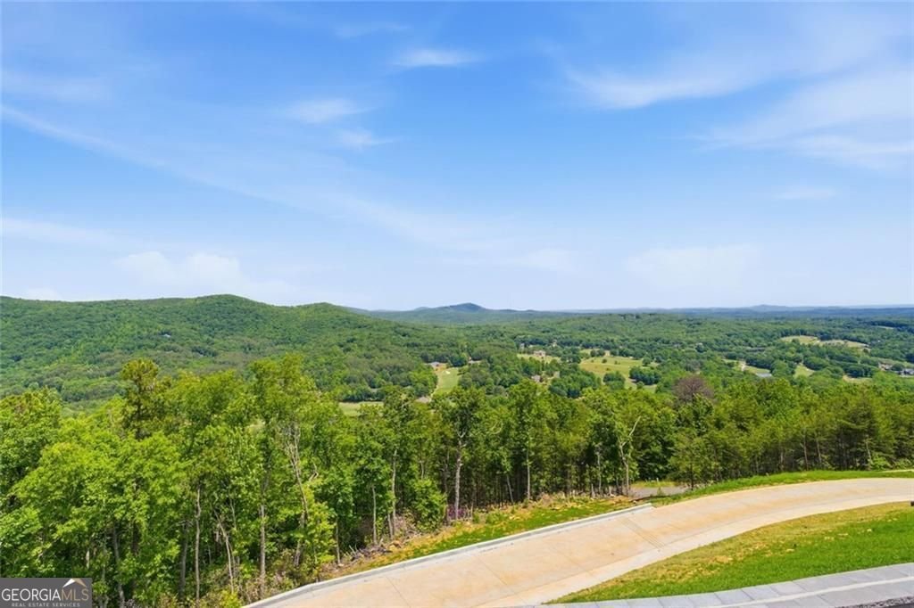 511 Orchard Hill Drive Clarkesville - Photo 39