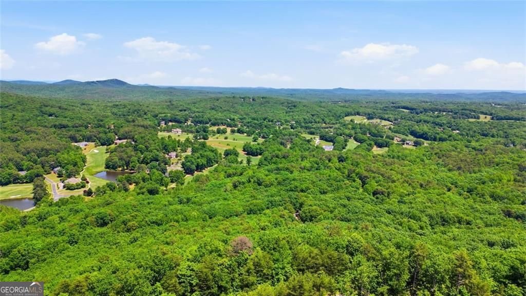 511 Orchard Hill Drive Clarkesville - Photo 59