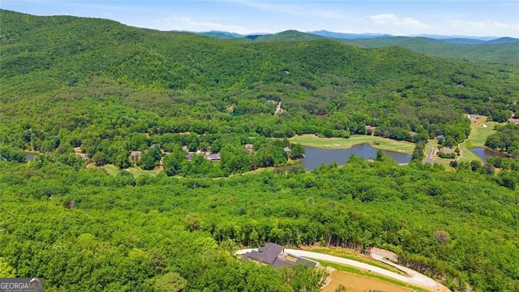 511 Orchard Hill Drive Clarkesville - Photo 60