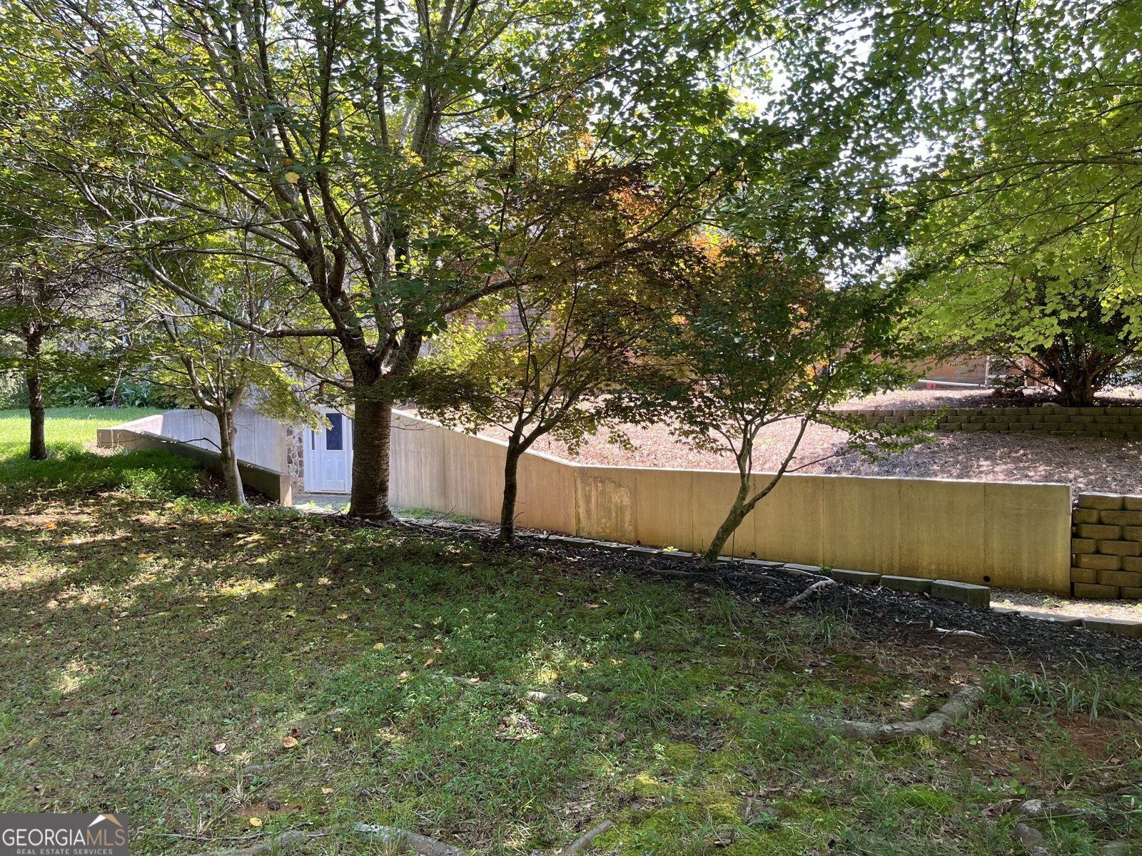 283 Meadow Lane Dahlonega - Photo 13