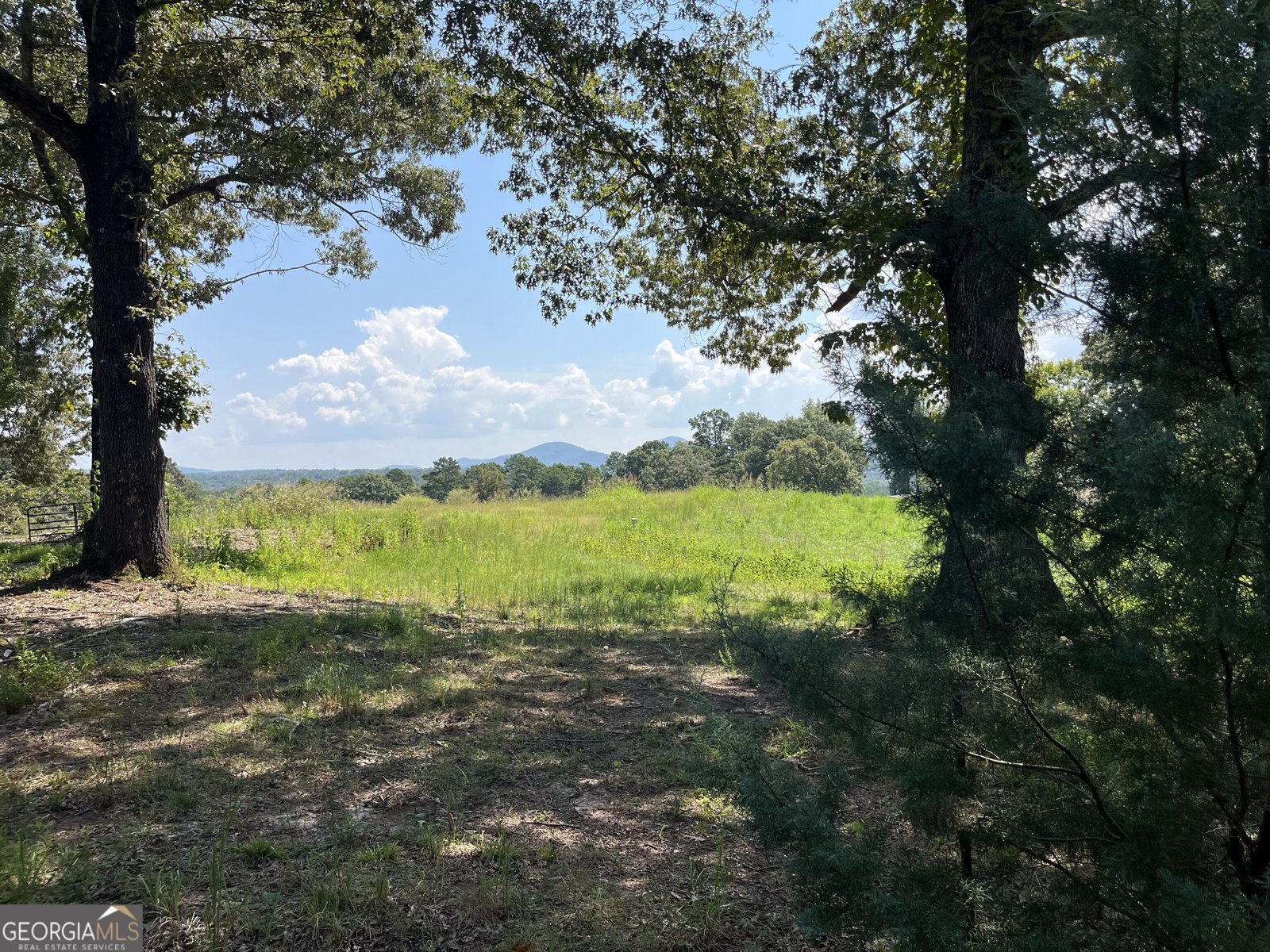283 Meadow Lane Dahlonega - Photo 8