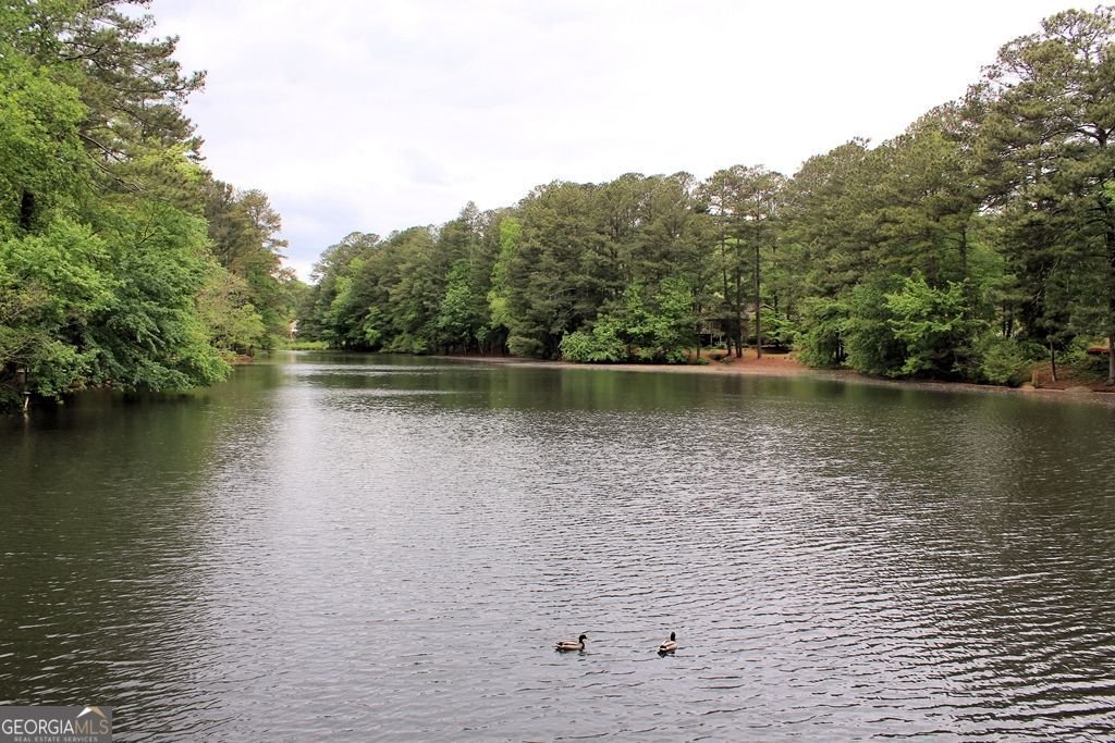 3520 Turtle Cove Court Marietta - Photo 36