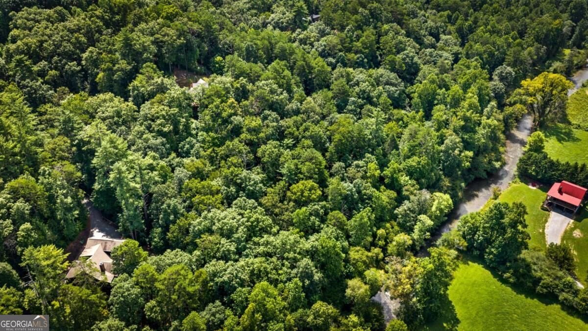 383 River Escape Drive Ellijay - Photo 12