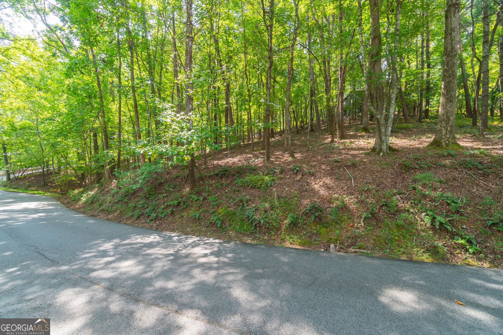 70 Doe Run Sautee Nacoochee - Photo 55