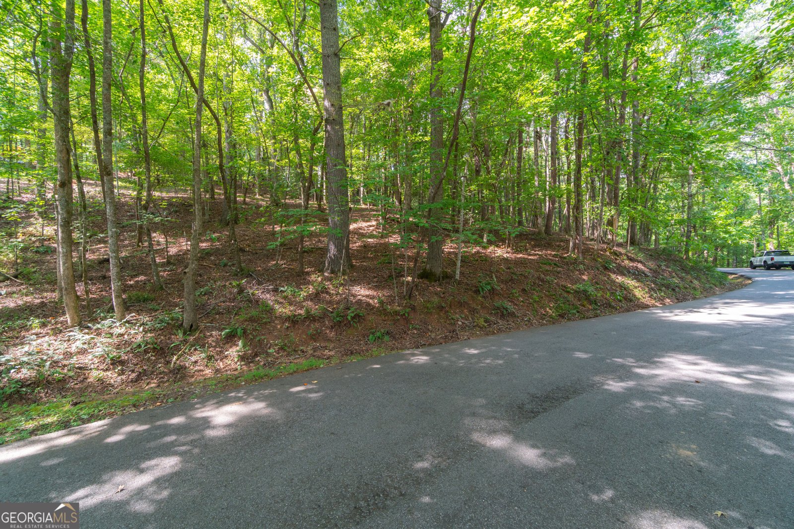 70 Doe Run Sautee Nacoochee - Photo 56