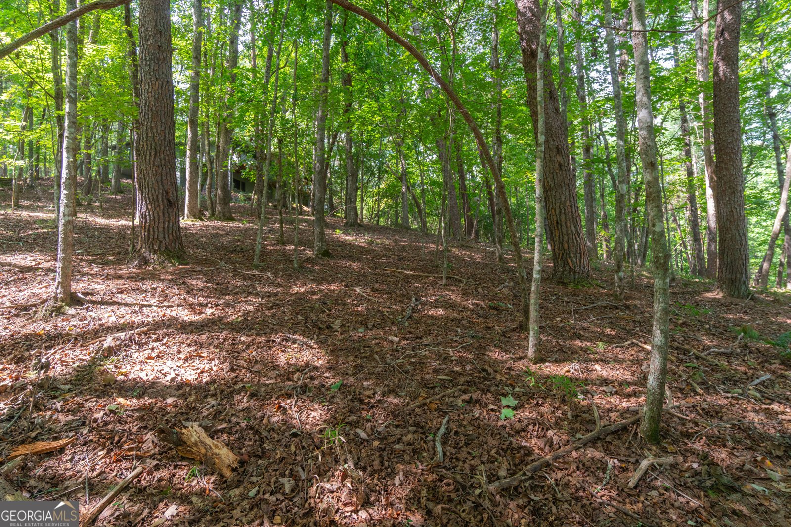 70 Doe Run Sautee Nacoochee - Photo 57