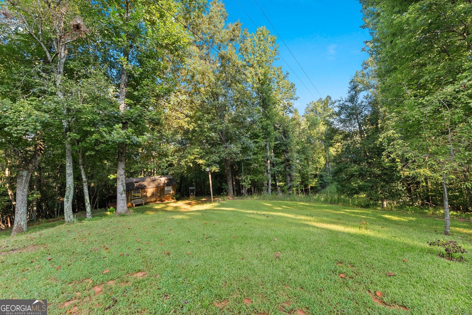 5351 Highway 19 Dahlonega - Photo 19