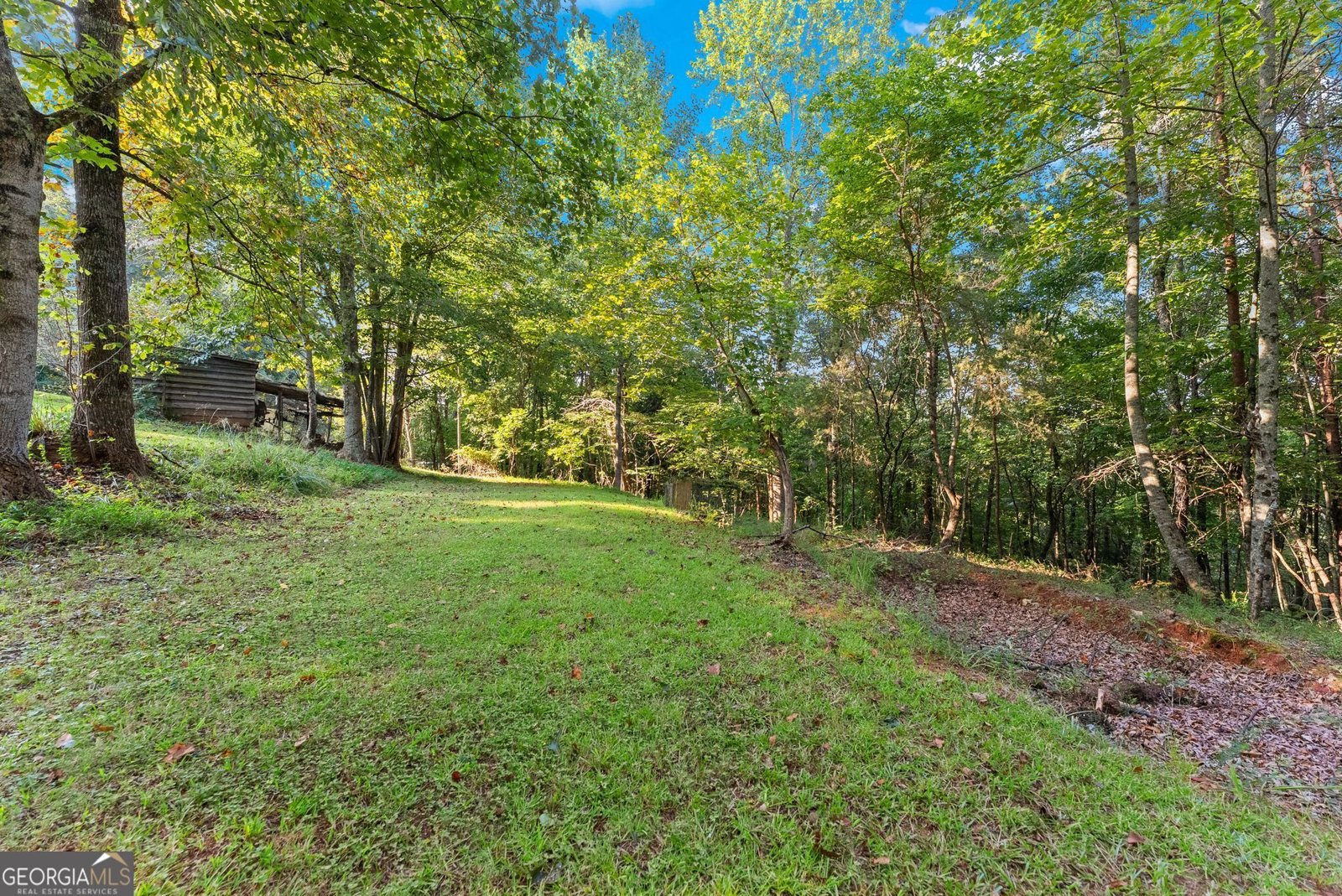 5351 Highway 19 Dahlonega - Photo 25
