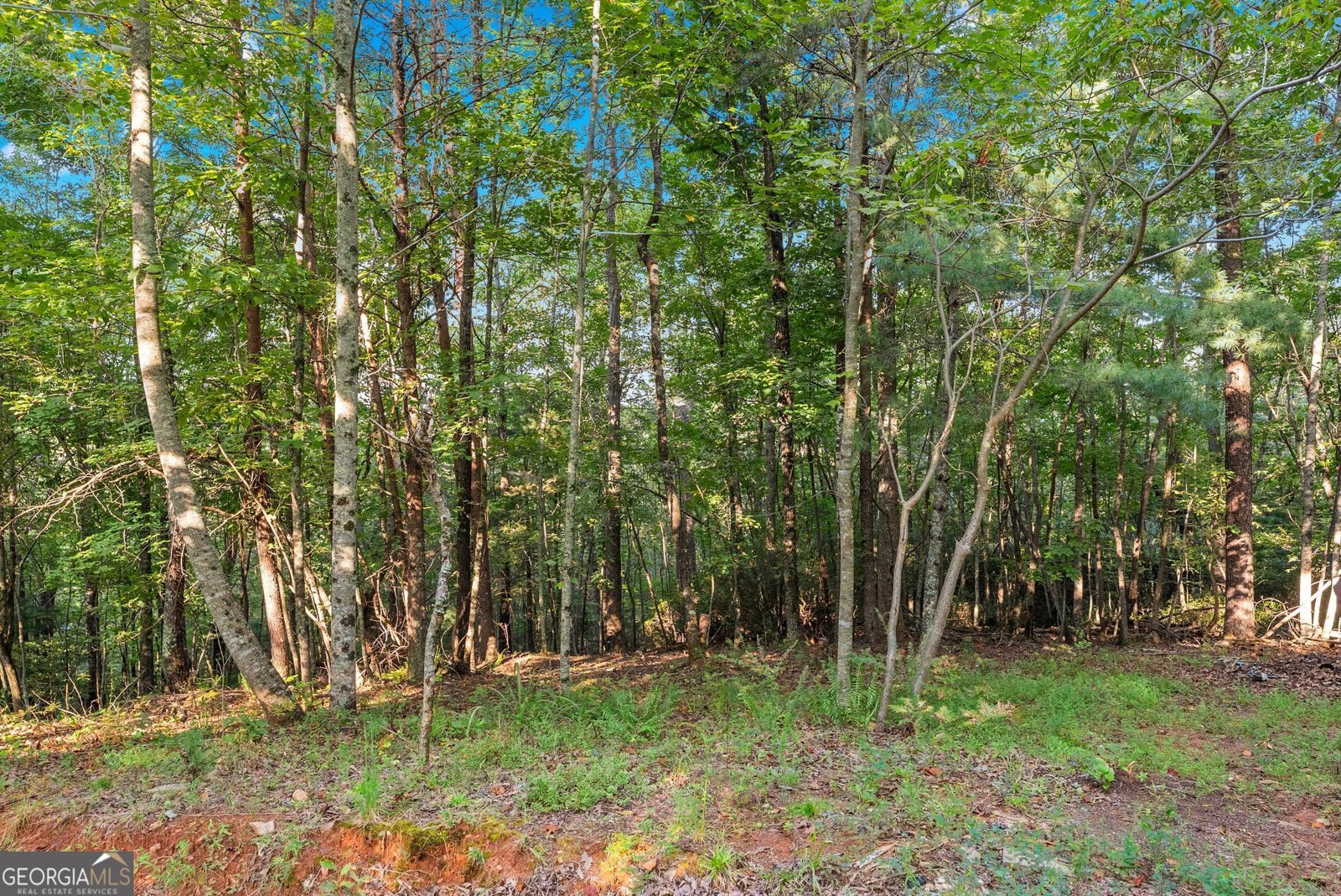 5351 Highway 19 Dahlonega - Photo 26