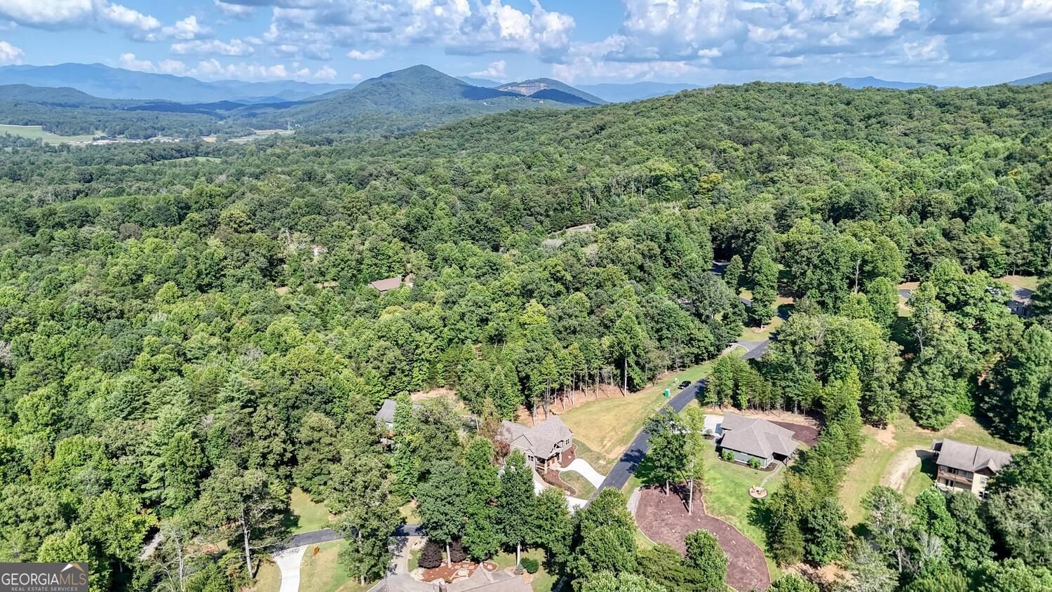 2079 Almont Rd. Young Harris - Photo 48