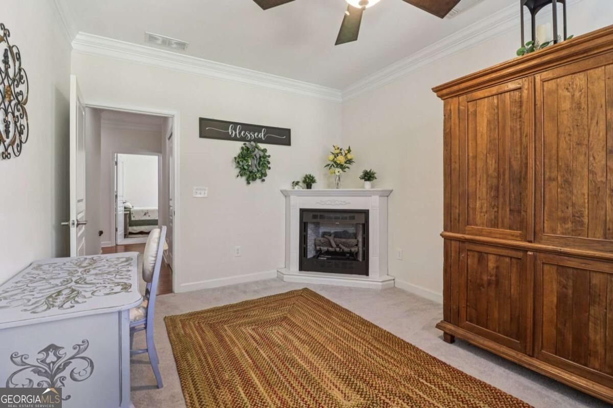 3217 Black Gum Lane Gainesville - Photo 41