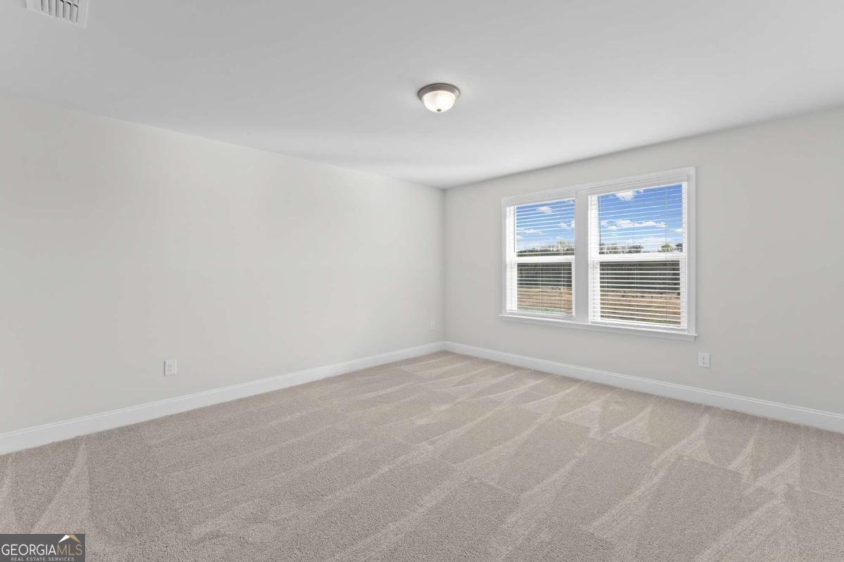 293 Nesta Grove Drive Locust Grove - Photo 17