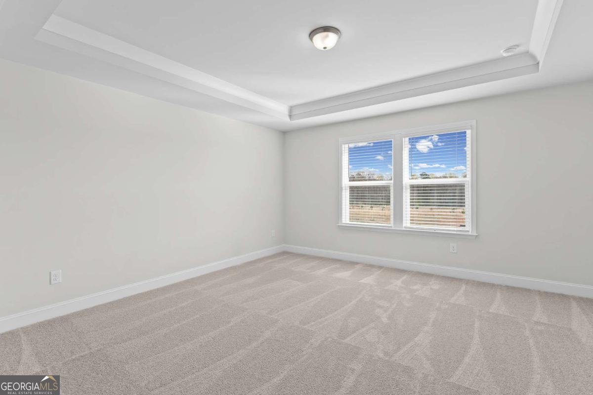293 Nesta Grove Drive Locust Grove - Photo 19