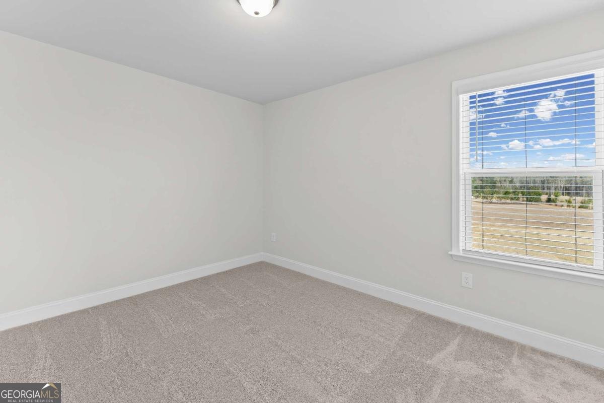 293 Nesta Grove Drive Locust Grove - Photo 23