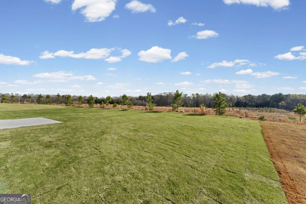 293 Nesta Grove Drive Locust Grove - Photo 31
