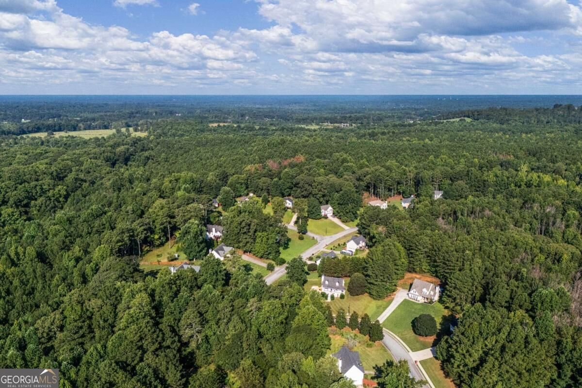 117 Walkers Pond Drive Villa Rica - Photo 30