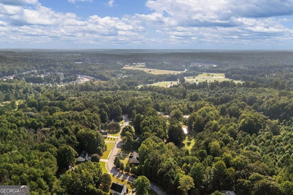 117 Walkers Pond Drive Villa Rica - Photo 32