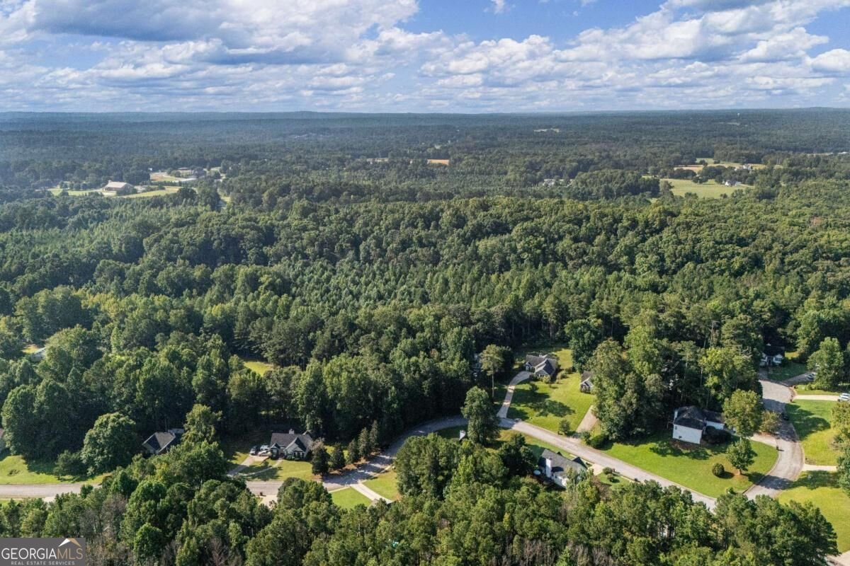 117 Walkers Pond Drive Villa Rica - Photo 33