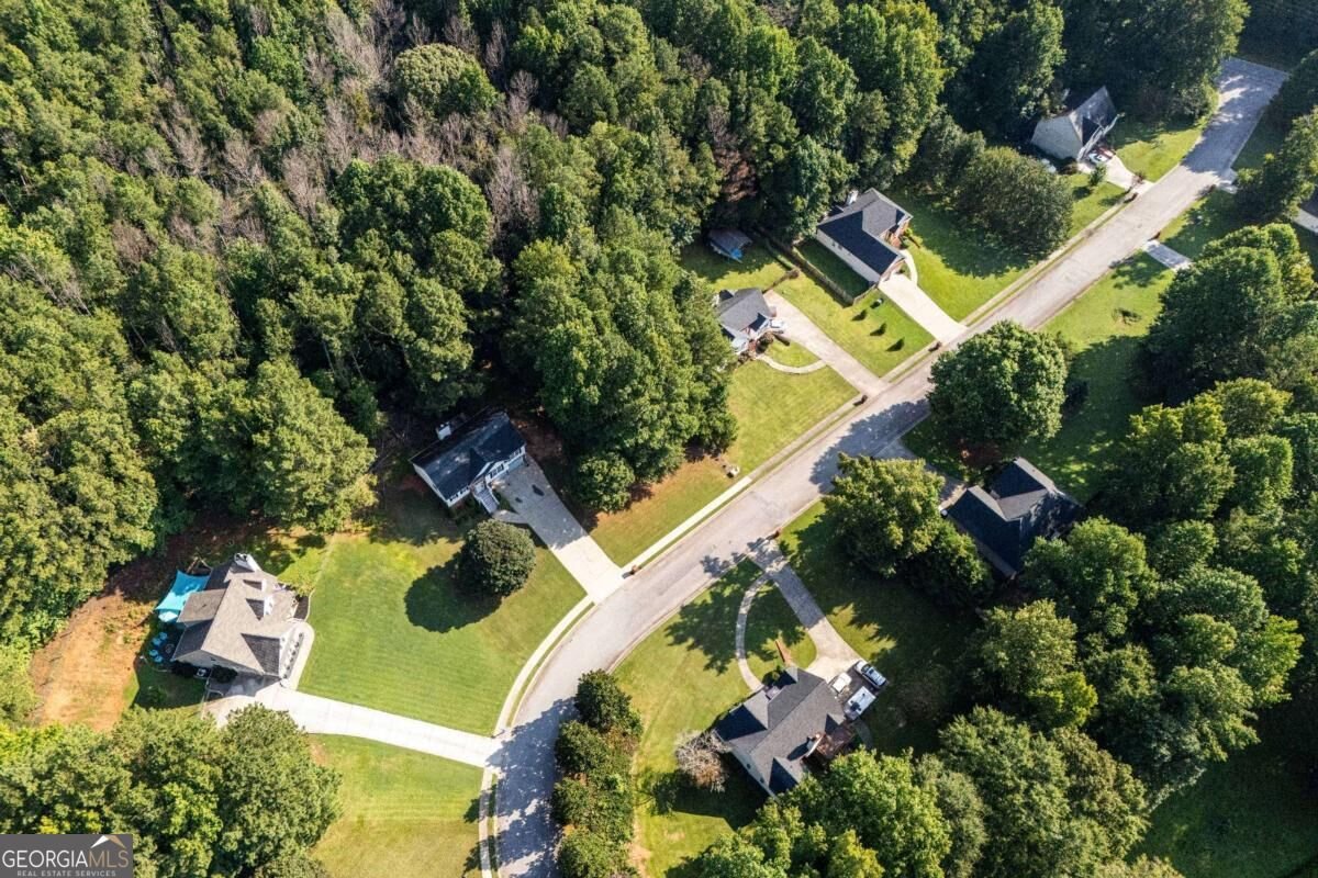 117 Walkers Pond Drive Villa Rica - Photo 44