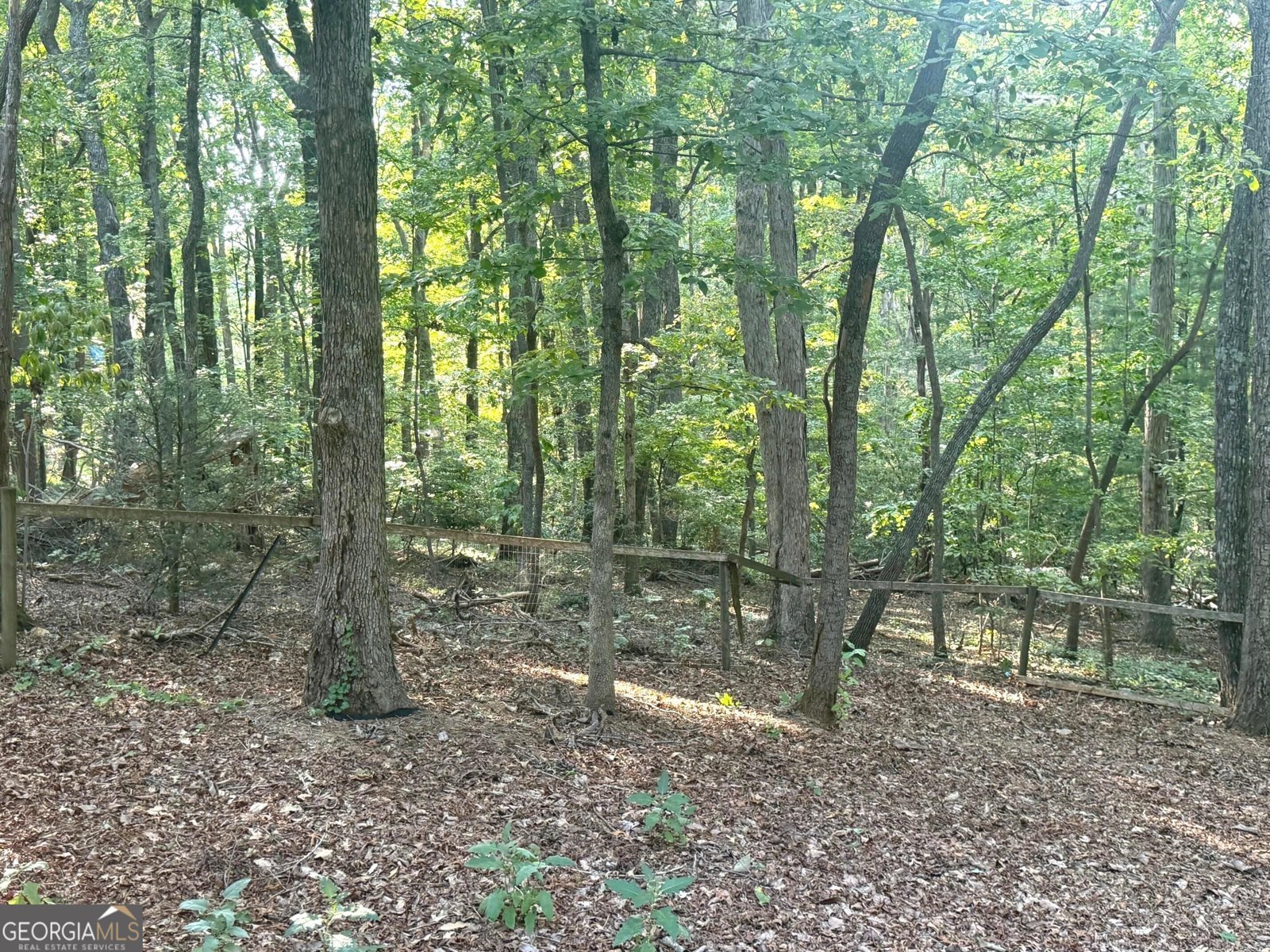 550 Washboard Road Cleveland - Photo 28