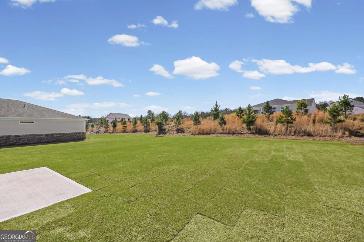268 Nesta Grove Drive Locust Grove - Photo 33