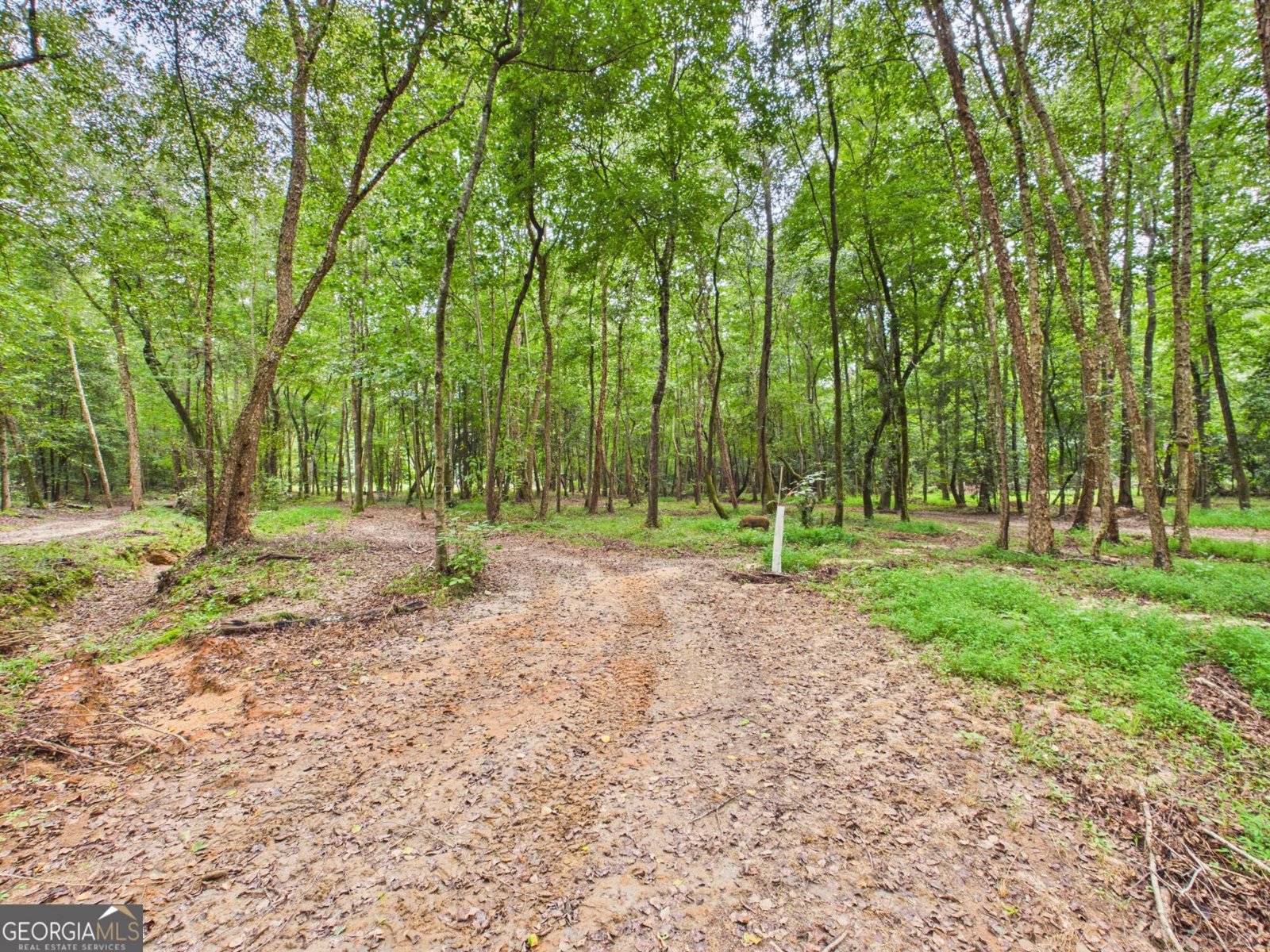 582 Asbury Church Road Irwinton - Photo 131