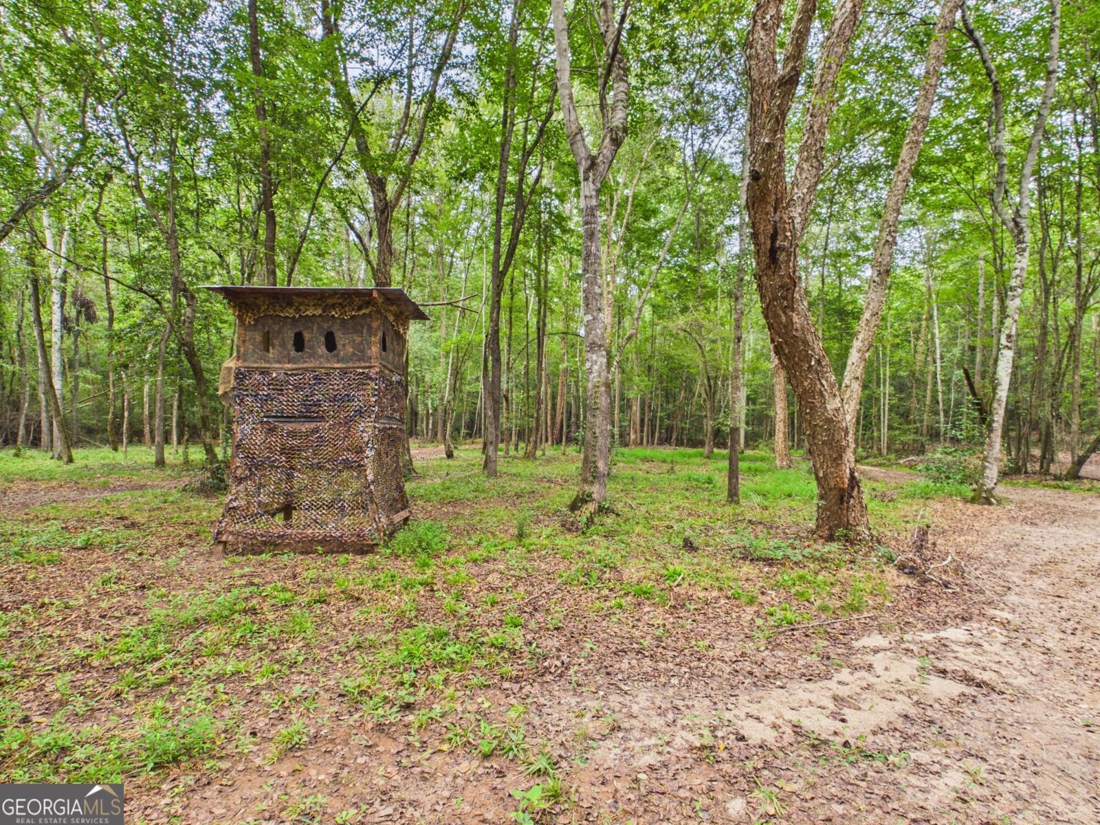 582 Asbury Church Road Irwinton - Photo 132