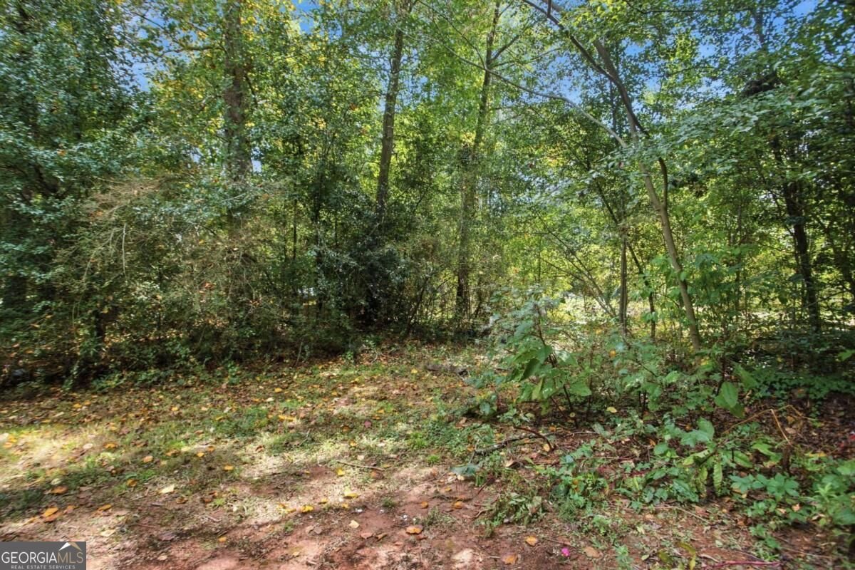 255 Belmont Farms Drive Ellenwood - Photo 35