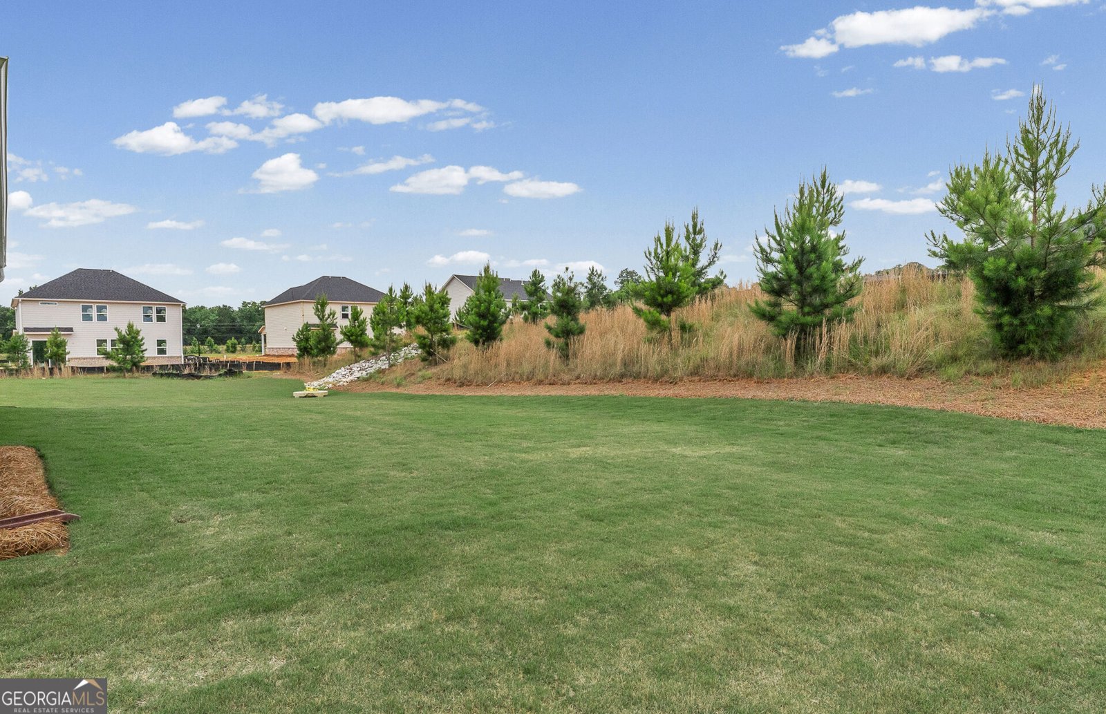 134 Kenney Way Locust Grove - Photo 33
