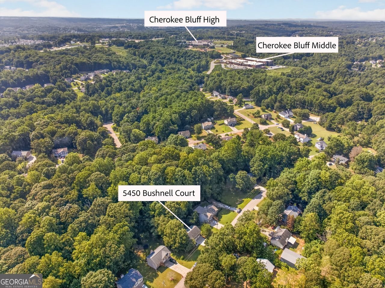 5450 Bushnell Court Flowery Branch - Photo 34