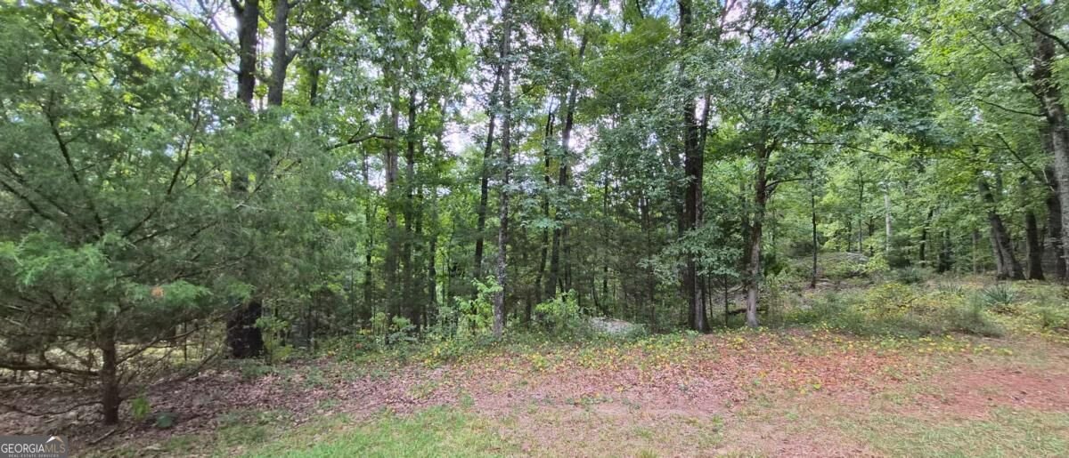 1753 Stephenson Road Lithonia - Photo 60