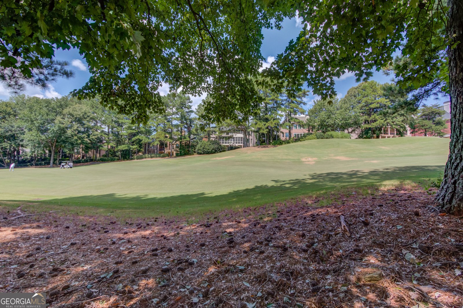 7685 St Marlo Country Club Parkway Duluth - Photo 20