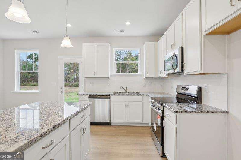317 Jagee Drive Byron - Photo 8