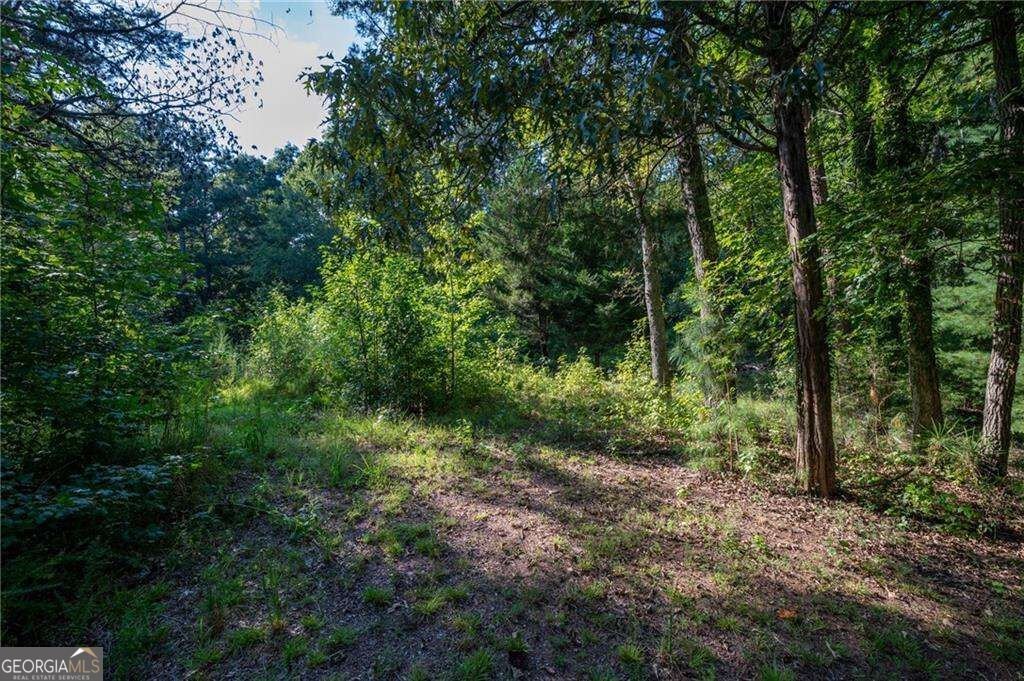 678 River Bend Road Plainville - Photo 25
