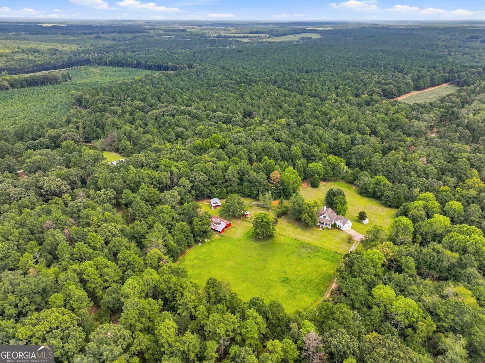 380 Bay Springs Sandersville - Photo 53