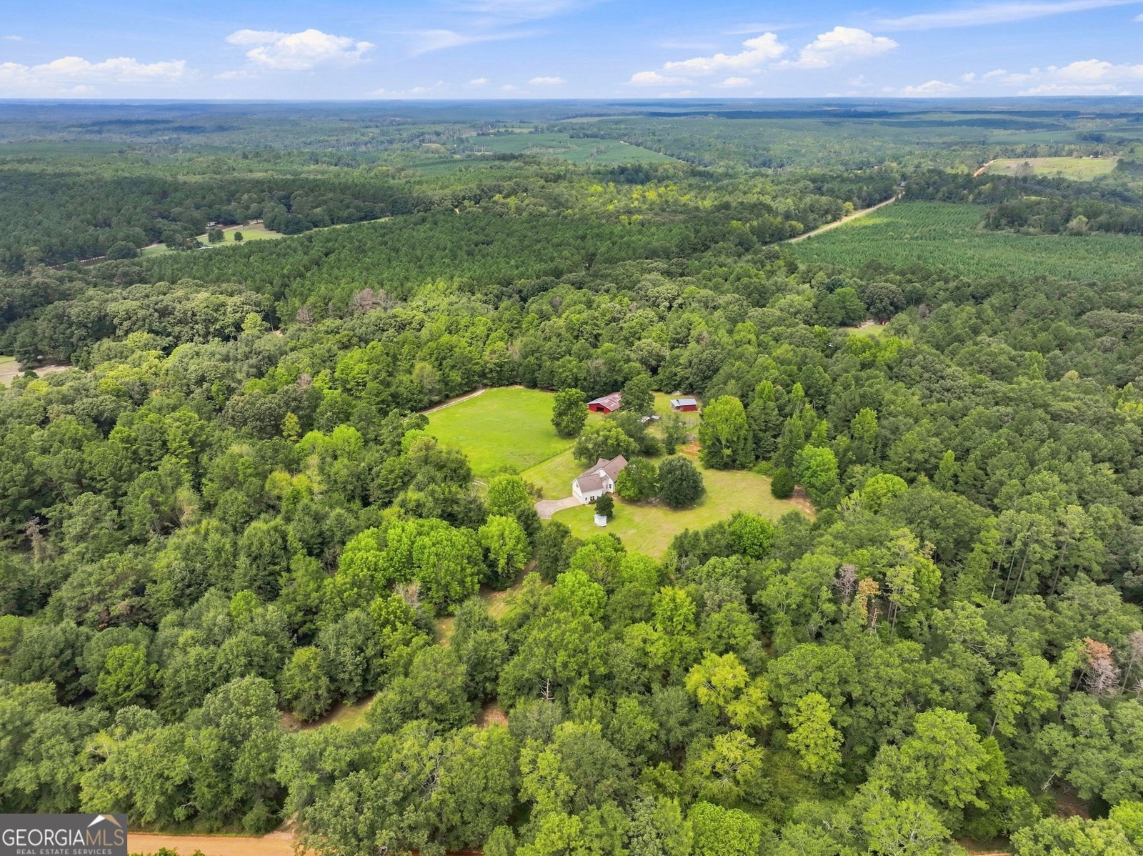 380 Bay Springs Sandersville - Photo 55