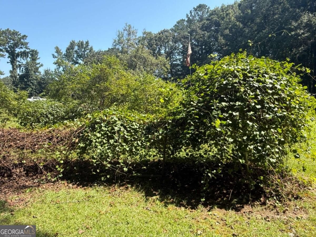 3100 Old Jonesboro Road Fairburn - Photo 8