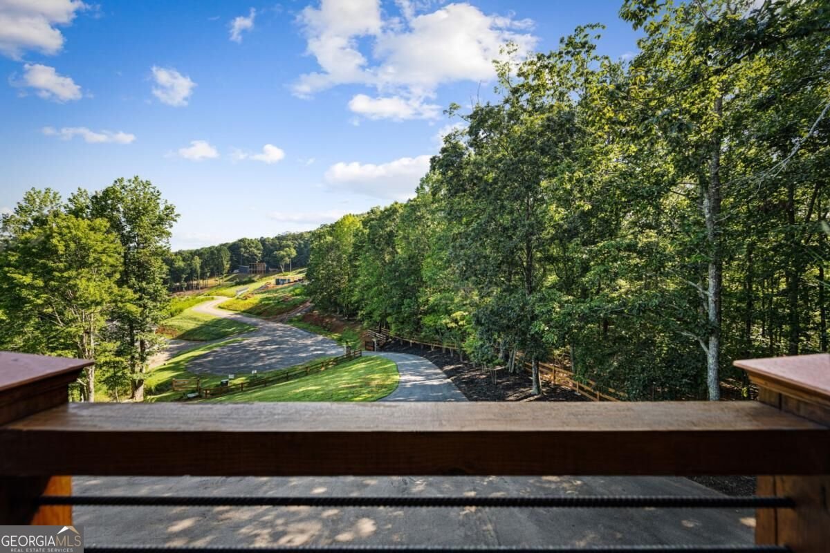 437 Big Valley Drive Morganton - Photo 43