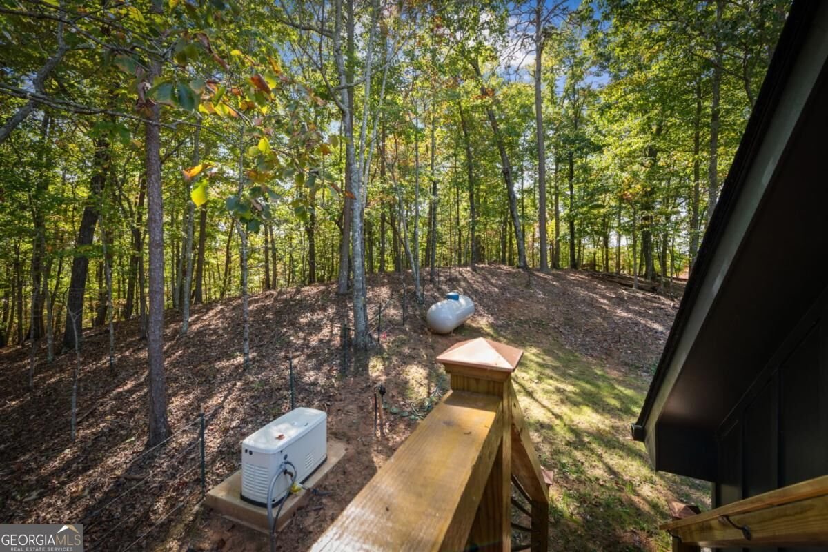 437 Big Valley Drive Morganton - Photo 45