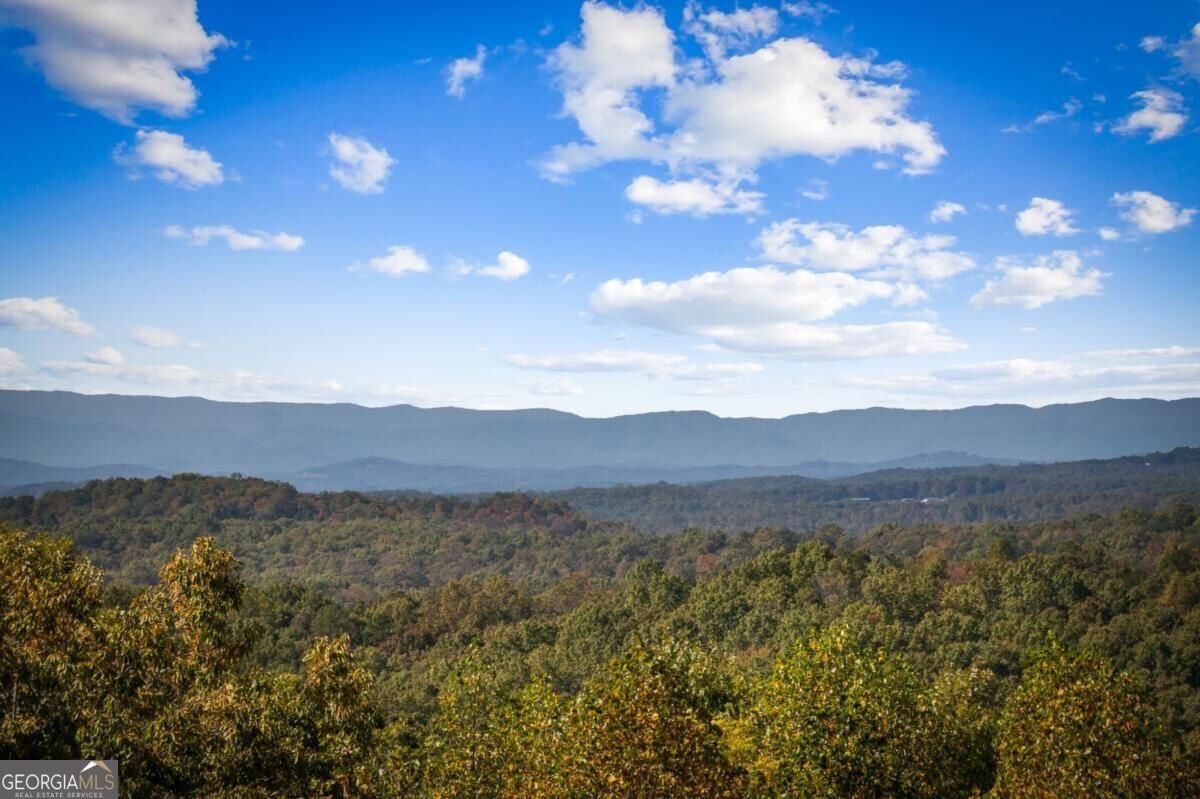 437 Big Valley Drive Morganton - Photo 59