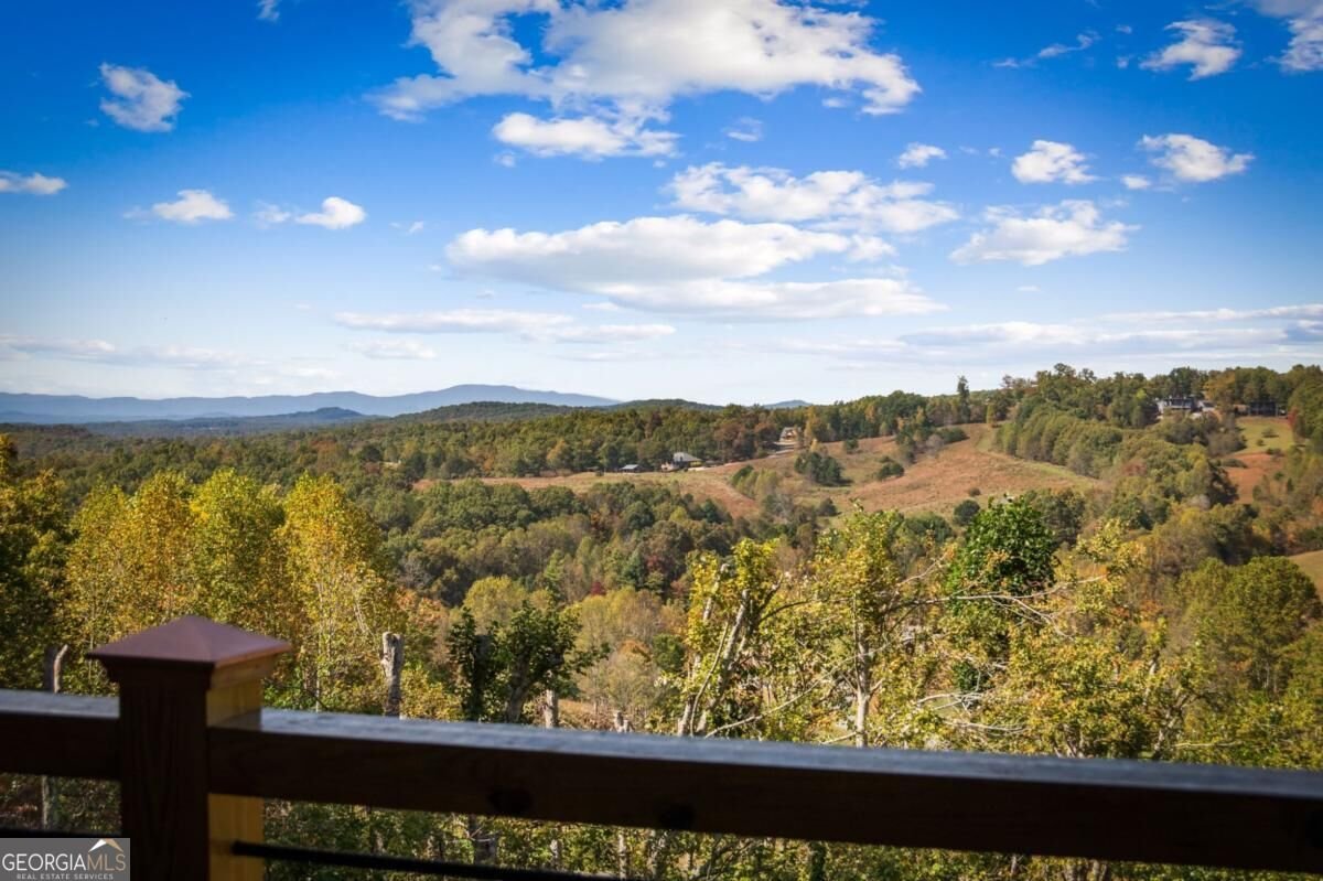 437 Big Valley Drive Morganton - Photo 60