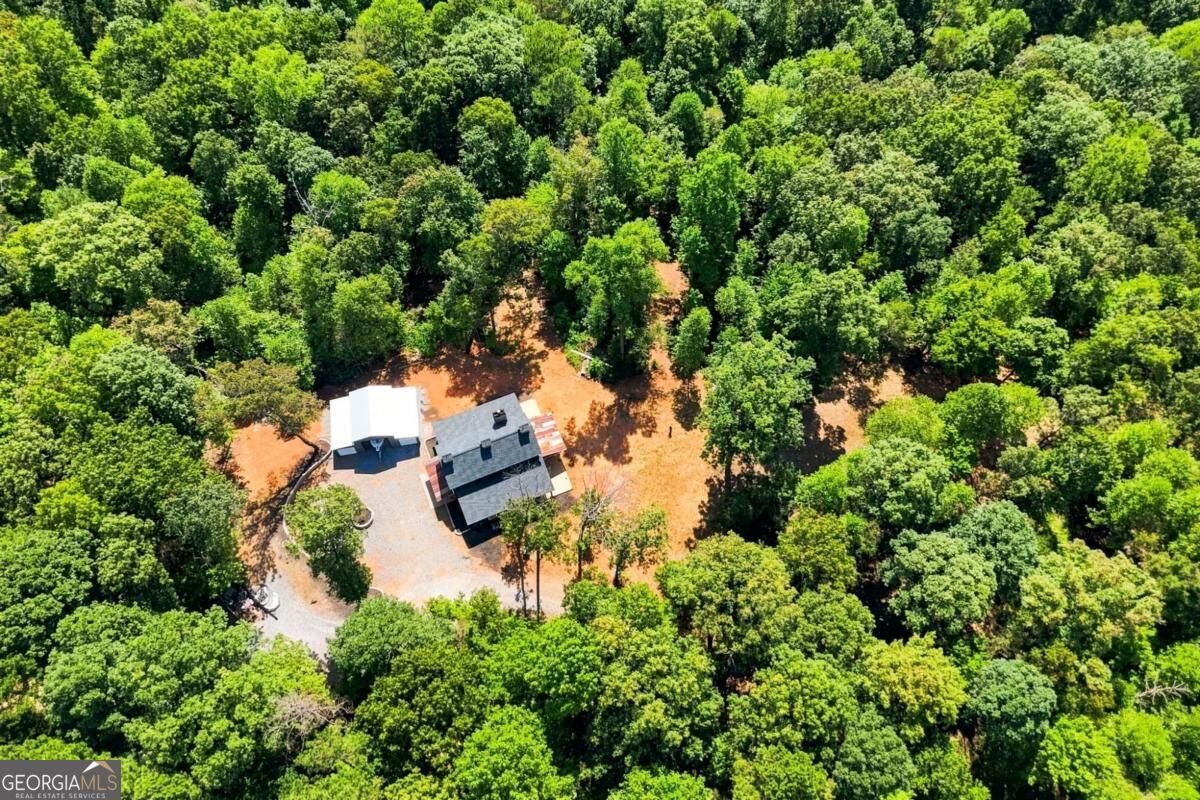 180 Red Plum Drive Ellijay - Photo 45